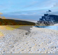 White Beach Tourist Park - Surfers Gold Coast