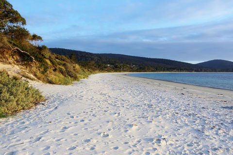 White Beach Tourist Park - Surfers Gold Coast 0