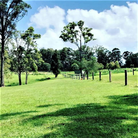 Sunshine Coast Farm Stay  - Surfers Gold Coast 3