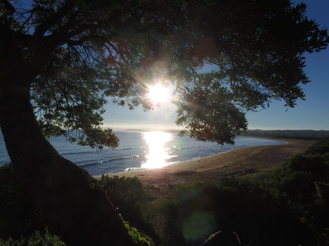 Apex Beachside Holiday Park - Surfers Gold Coast 1