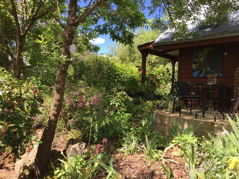 Artscape Cottage Beechworth - Surfers Gold Coast 2