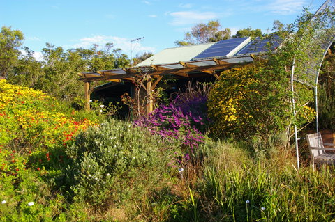 Back Forest Retreat - Surfers Gold Coast 2