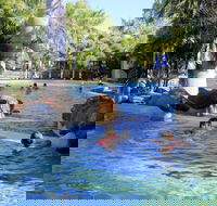 Big4 Aussie Outback Oasis Holiday Park - Surfers Gold Coast