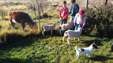 Dairy Park Farm Stay Bed And Breakfast - Surfers Gold Coast 2