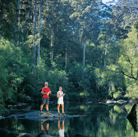 Drafty's Camp At Warren National Park - Surfers Gold Coast 0