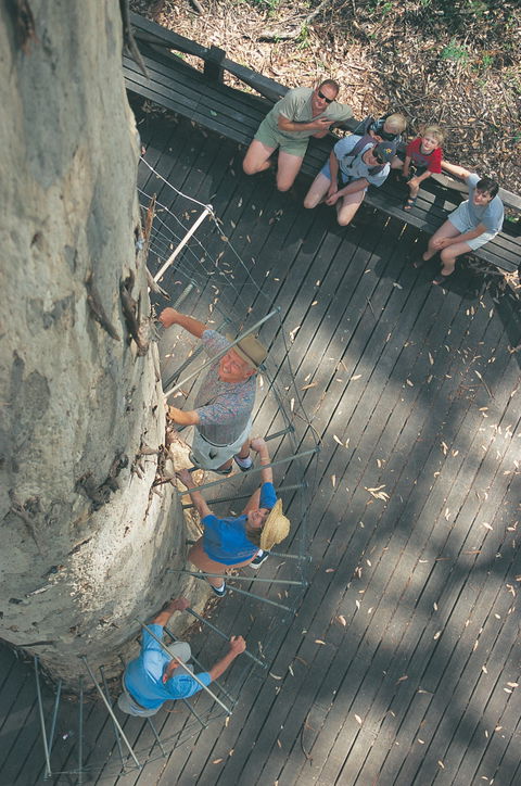 Drafty's Camp At Warren National Park - Surfers Gold Coast 1