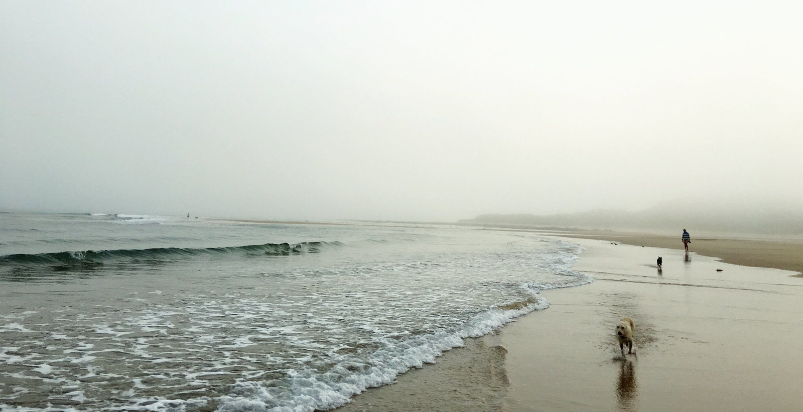 Weymouth TAS Surfers Gold Coast