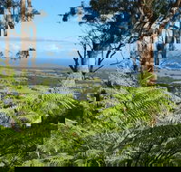 Escarpment - Surfers Gold Coast