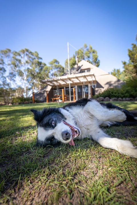 Grampians Getaway - Surfers Gold Coast 0