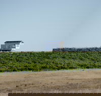 Hounds Run Vineyard - Surfers Gold Coast