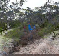 Ingar campground - Surfers Gold Coast