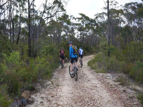 Ingar Campground - Surfers Gold Coast 0