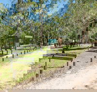 Mogo campground - Surfers Gold Coast