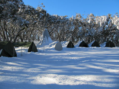Mt Stirling Alpine Winter Camp - Surfers Gold Coast 0