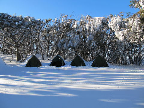 Mt Stirling Alpine Winter Camp - Surfers Gold Coast 1