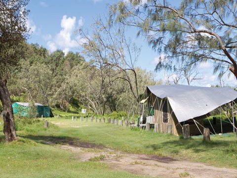 Pebbly Beach Campground - Yuraygir National Park - Surfers Gold Coast 0