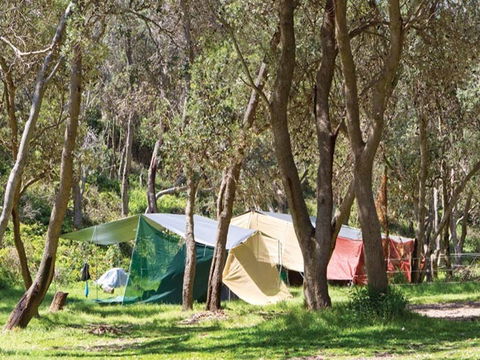 Pebbly Beach Campground - Yuraygir National Park - Surfers Gold Coast 1