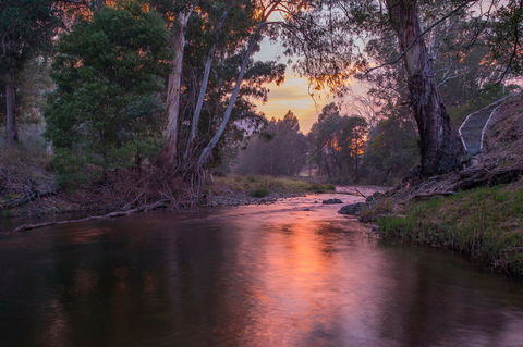 Riverdowns - Surfers Gold Coast 1