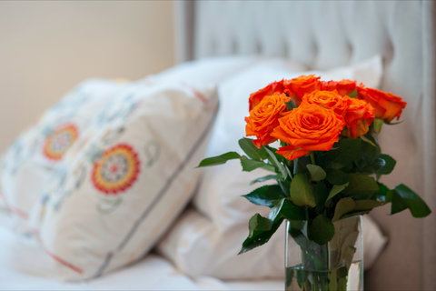 The Nest At Gundaroo - Surfers Gold Coast 1