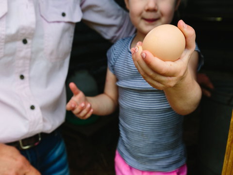 Tommerups Dairy Farmstay - Surfers Gold Coast 1