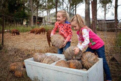 Tommerups Dairy Farmstay - Surfers Gold Coast 2