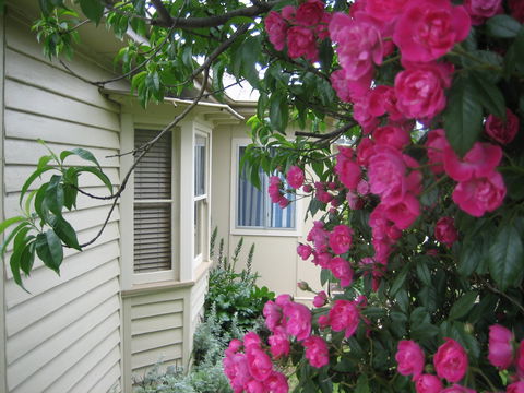 Valley Views Bed And Breakfast - Surfers Gold Coast 0