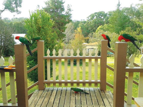 Warrumbungles Mountain Motel - Surfers Gold Coast 0