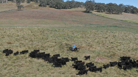 Waterloo Station - Surfers Gold Coast 2