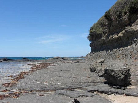 Dolphins Point Tourist Park - Surfers Gold Coast 4