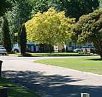 Mitchell Gardens Holiday Park - Surfers Gold Coast