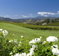 Balgownie Estate Vineyard Resort and Spa - Surfers Gold Coast