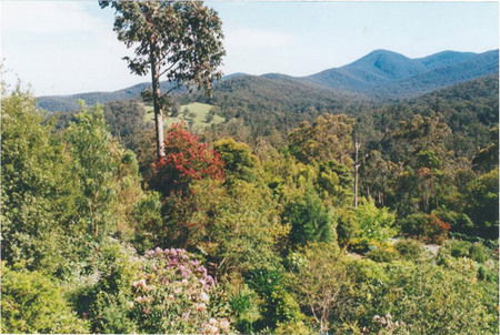 Helgrah Cottage - Surfers Gold Coast 5