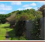 Orchard Cottage - Surfers Gold Coast