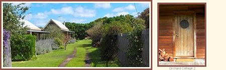 Orchard Cottage - Surfers Gold Coast 0