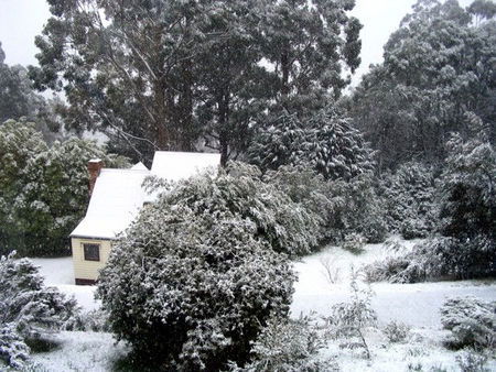 Tranquillity Cottage - Surfers Gold Coast 0