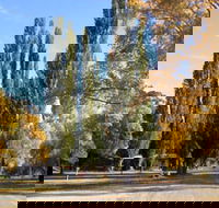 Omeo Caravan Park - Surfers Gold Coast