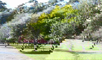 Otways Tourist Park - Surfers Gold Coast 0