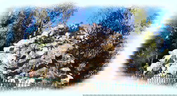 Otways Tourist Park - Surfers Gold Coast 3