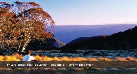 Alpine View Apartments - Surfers Gold Coast 1