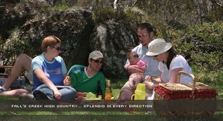 Alpine View Apartments - Surfers Gold Coast 2