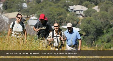 Alpine View Apartments - Surfers Gold Coast 3