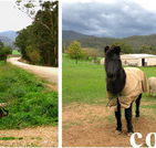 Emerald Park Holiday Farm - Surfers Gold Coast