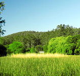Waterholes Guest House - Surfers Gold Coast