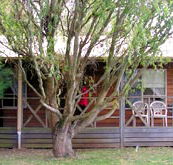 BIG4 Ballarat Windmill Holiday Park - Surfers Gold Coast