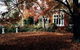 Clevedon Manor - thumb 0