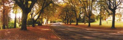 La Trobe At Beechworth - Surfers Gold Coast 0