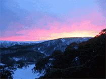 Snow Ski Apartments - Surfers Gold Coast 3