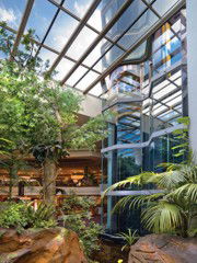 Travelodge Bankstown - Surfers Gold Coast 3