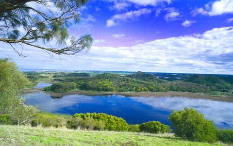 Killara Accommodation - Surfers Gold Coast 6