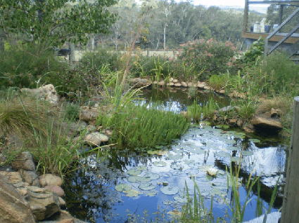Crabapple Lane Bed & Breakfast - Surfers Gold Coast 2
